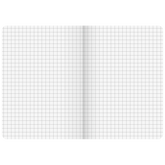 Notizbuch Premium FACT!plus Kladde | A6, kariert, Gummizugverschluss, braun